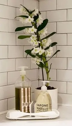 Deluxe Apart Daire, 1 Yatak Odası, Mutfak, Bahçe Manzaralı