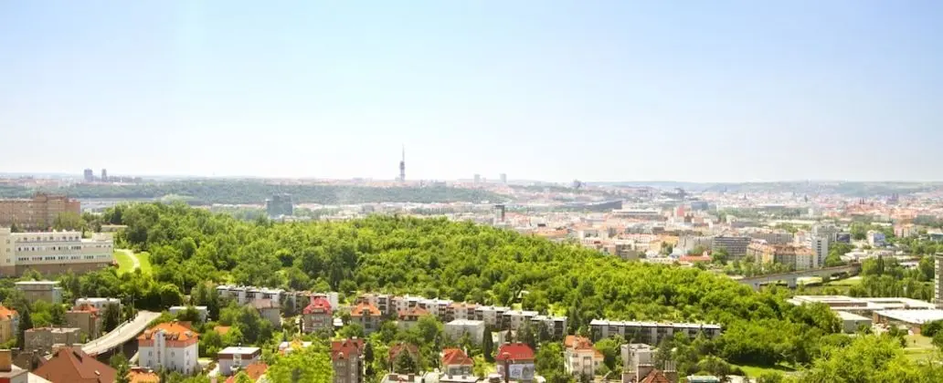 Standard Dört Kişilik Oda