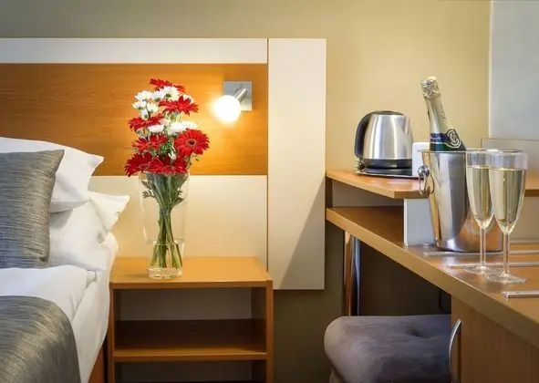 Standard Tek Büyük Yataklı Oda