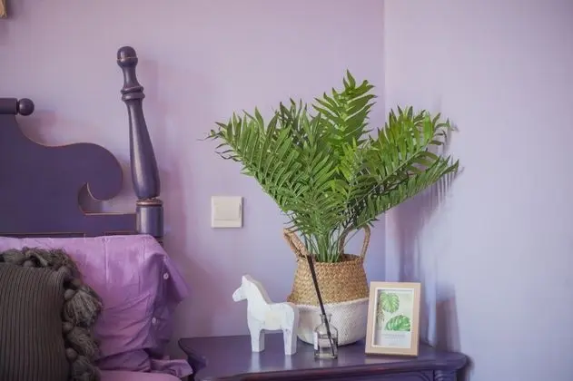 Villa, 5 Yatak Odası