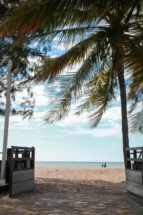 Deluxe Dört Kişilik Oda