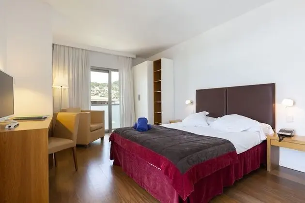 Standard Tek Büyük Yataklı Oda (Spa Access)