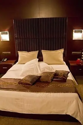 Standard Tek Büyük Yataklı Oda, Şehir Manzaralı
