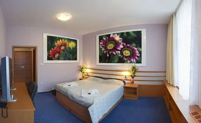 Comfort Tek Büyük veya İki Ayrı Yataklı Oda, 1 Büyük (Queen) Boy Yatak, Sigara İçilmez