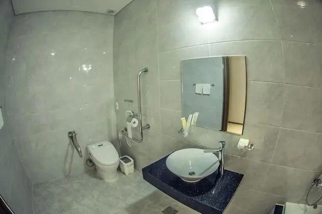 Standard Tek Büyük Yataklı Oda, 1 Çift Kişilik Yatak, Sigara İçilmez, Şehir Manzaralı