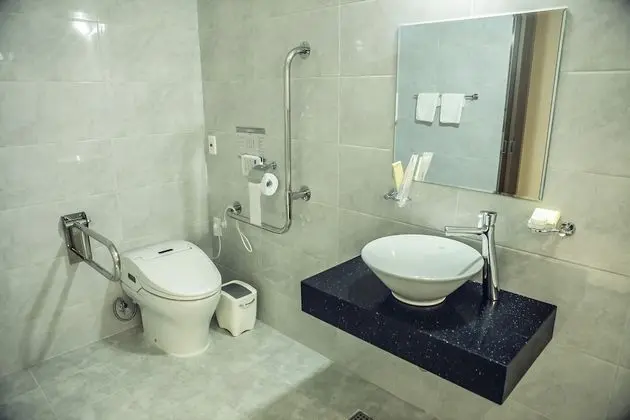 Standard Tek Büyük Yataklı Oda, 1 Çift Kişilik Yatak, Sigara İçilmez, Şehir Manzaralı