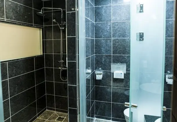 Standard Tek Büyük Yataklı Oda, 1 Çift Kişilik Yatak, Sigara İçilmez, Şehir Manzaralı