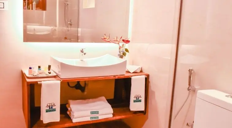 Deluxe Tek Büyük Yataklı Oda, 1 En Büyük (King) Boy Yatak, Engellilere Uygun