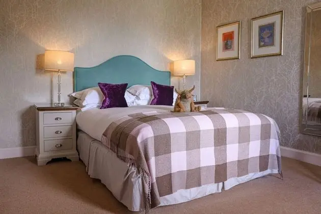 Superior Oda (Small)