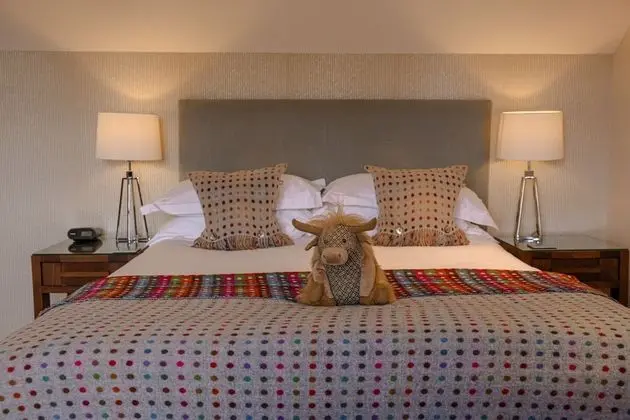 Superior Tek Büyük veya İki Ayrı Yataklı Oda