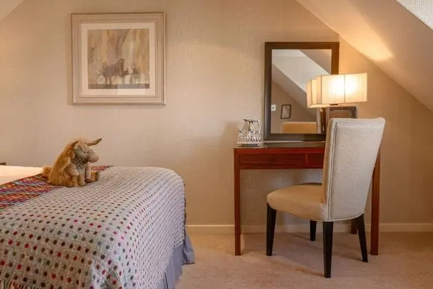 Superior Tek Büyük veya İki Ayrı Yataklı Oda