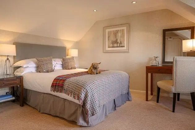 Superior Tek Büyük veya İki Ayrı Yataklı Oda