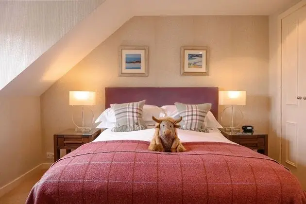 Tek Büyük Yataklı Oda, 1 Çift Kişilik Yatak