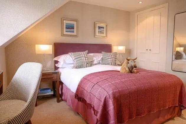 Tek Büyük Yataklı Oda, 1 Çift Kişilik Yatak