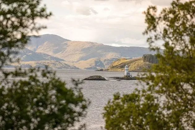 Tek Büyük Yataklı Oda, 1 Çift Kişilik Yatak
