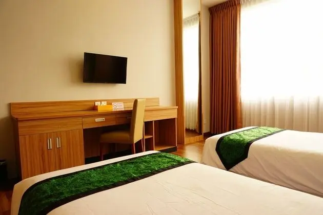 Deluxe Tek Büyük veya İki Ayrı Yataklı Oda, Sigara İçilmez