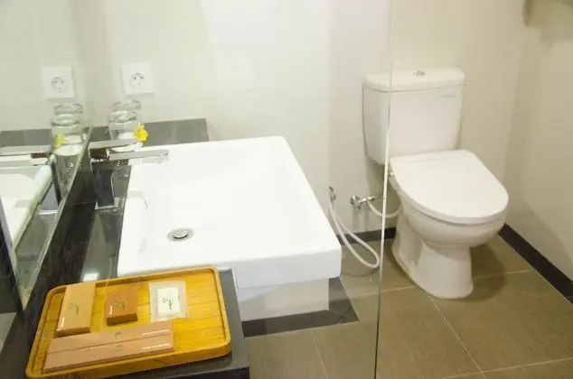 Deluxe Tek Büyük veya İki Ayrı Yataklı Oda, Sigara İçilmez