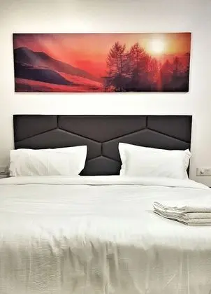 Superior Tek Büyük Yataklı Oda