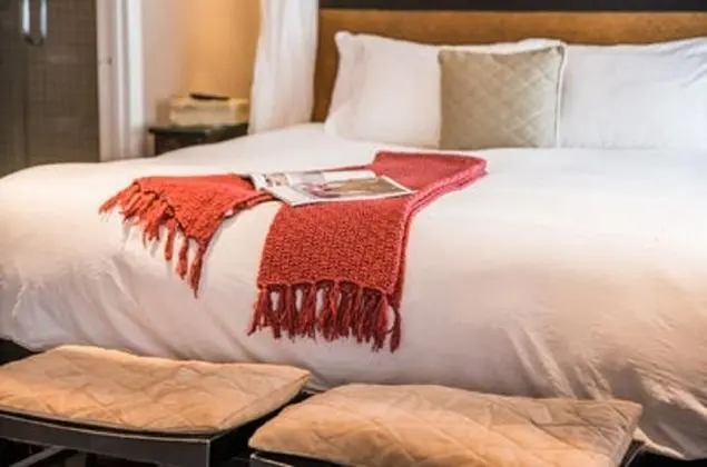 Luxury Stüdyo, Şehir Manzaralı