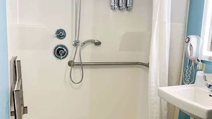 Deluxe Tek Kişilik Oda, 1 Büyük (Queen) Boy Yatak, Engellilere Uygun, Avlu Manzaralı