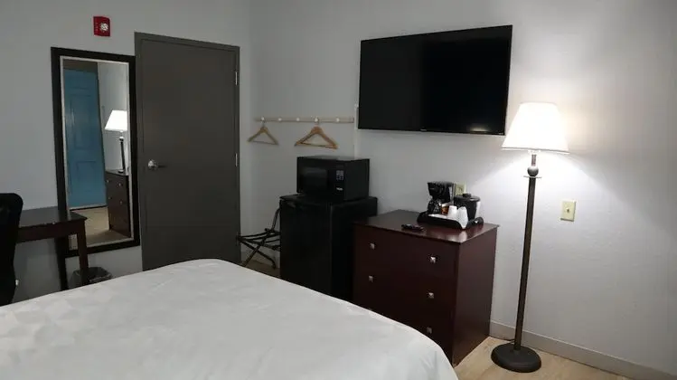 Deluxe Tek Kişilik Oda, 1 Büyük (Queen) Boy Yatak, Engellilere Uygun, Avlu Manzaralı
