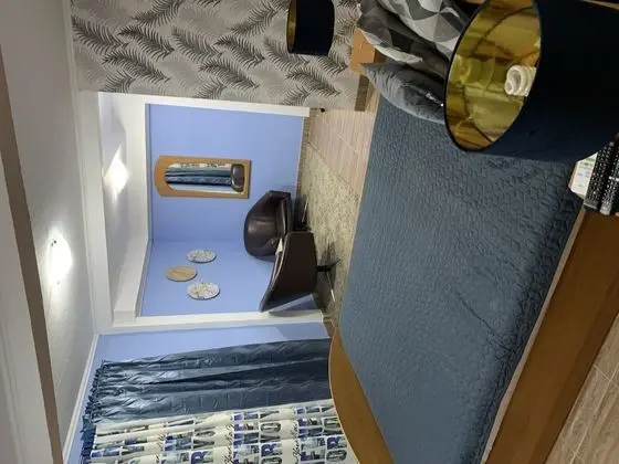 Deluxe Tek Büyük Yataklı Oda (Blue)