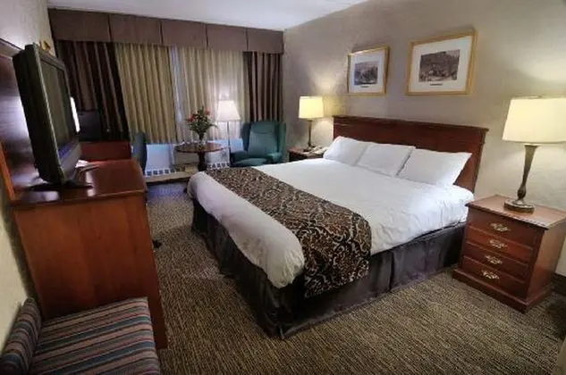 Deluxe Tek Kişilik Oda
