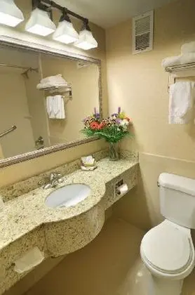 Tek Büyük Yataklı Oda, 2 Çift Kişilik Yatak