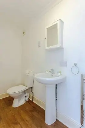 Basic Stüdyo, 1 Çift Kişilik Yatak
