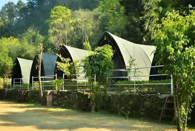 Luxury Çadır