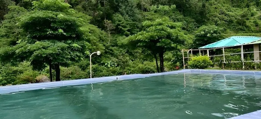 Luxury Çadır