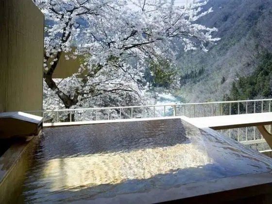 İki Ayrı Yataklı Oda, Sigara İçilmez, Vadi Manzaralı (with Open-air Bath, Type C)