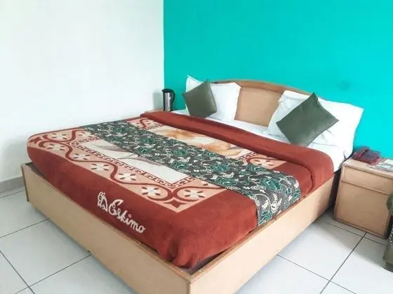 Deluxe Oda, 1 Çift Kişilik Yatak