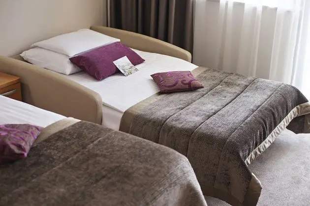 Standard Tek Büyük Yataklı Oda, Balkon, Muhtelif Manzaralı