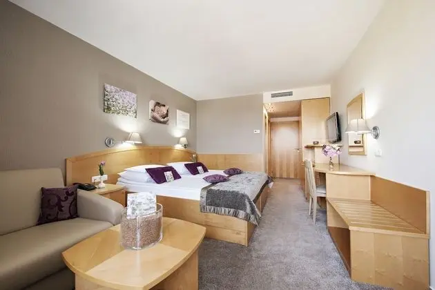 Standard Tek Büyük Yataklı Oda, Balkon, Muhtelif Manzaralı