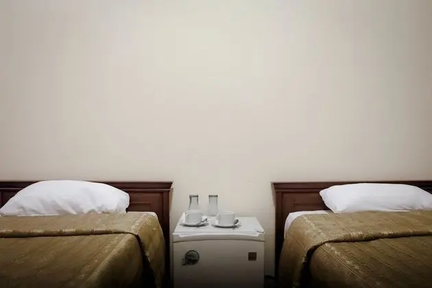 Standard İki Ayrı Yataklı Oda, 2 Tek Kişilik Yatak, Avlu Manzaralı