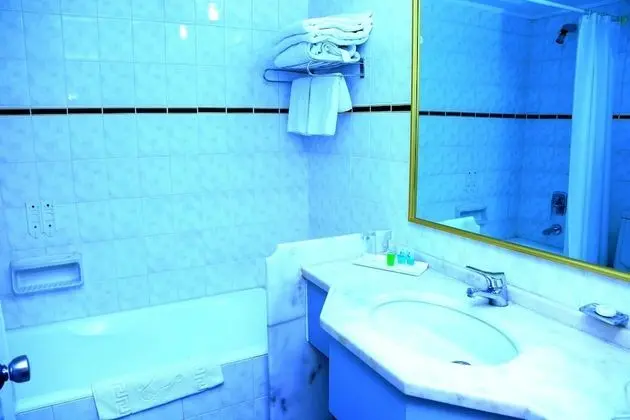 Deluxe Tek Büyük Yataklı Oda, 1 Çift Kişilik veya 2 Tek Kişilik Yatak, Sigara İçilmez