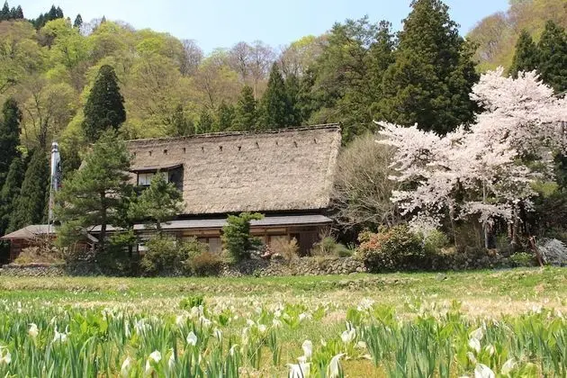 Traditional Oda (Japanese Style)