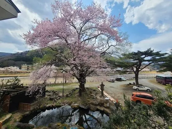 Traditional Oda (Japanese Style 5 guests with Toilet)