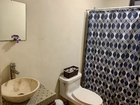 Premier Stüdyo Süit, 1 En Büyük (King) Boy Yatak