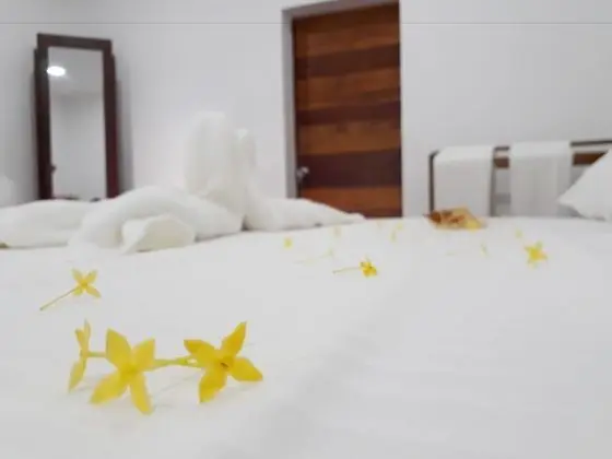 Comfort Tek Büyük Yataklı Oda, 1 En Büyük (King) Boy Yatak, Engellilere Uygun, Bahçe Manzaralı