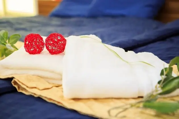 Oda, 1 Yatak Odası (Dokanzaka)