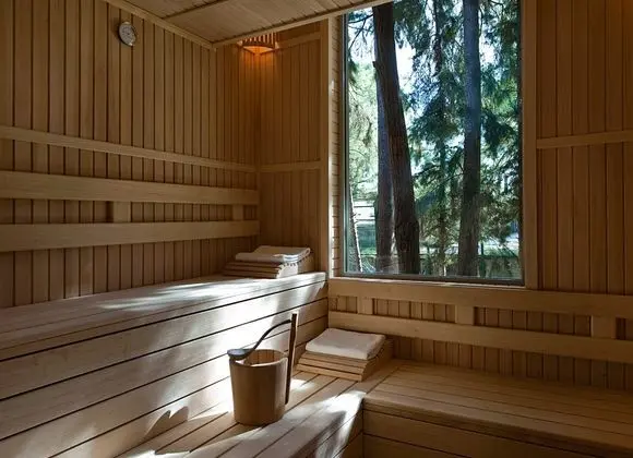 Safir Villa Sauna