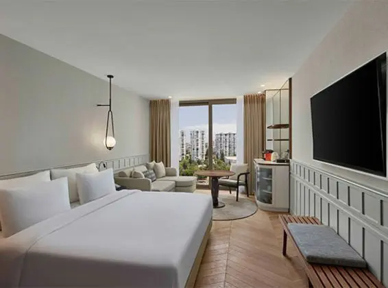Deluxe Şehir Manzaralı Oda