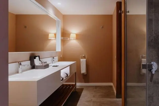Çatı Katı Süiti (Penthouse)