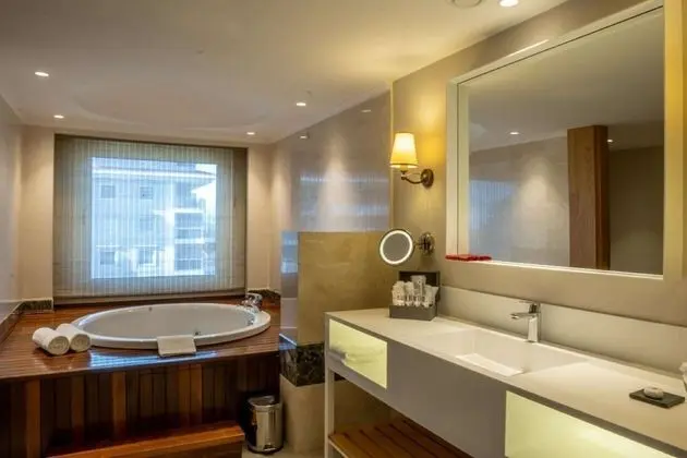 Çatı Katı Süiti (Penthouse)