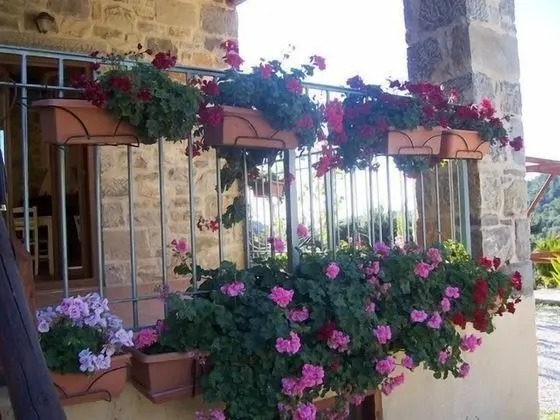 Luxury Süit, 1 En Büyük (King) Boy Yatak, Vadi Manzaralı