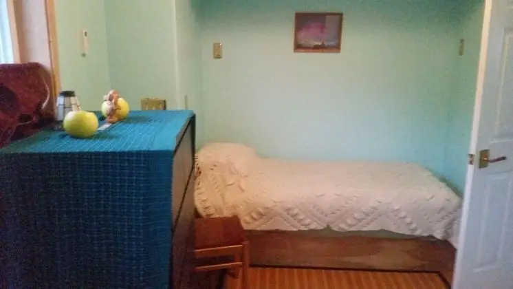 Deluxe Tek Kişilik Oda, 1 Tek Kişilik Yatak, Sigara İçilmez