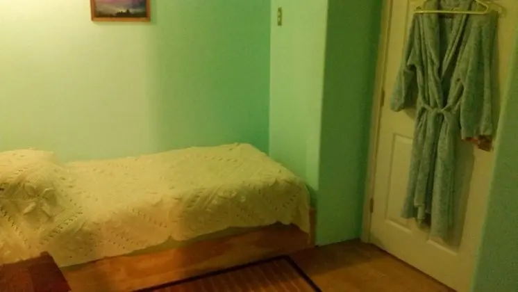 Deluxe Tek Kişilik Oda, 1 Tek Kişilik Yatak, Sigara İçilmez