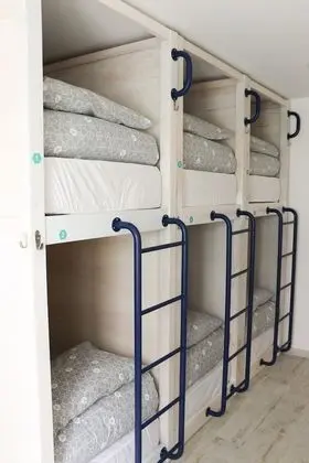 Ortak Ranzalı Oda, Karma Ranzalı Oda, Ortak Banyo (1 Bed in 6 Bed Dormitory)